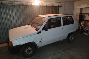 Panda per neopatentati