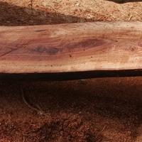 tagliere in legno di olmo massello 60x28x5 