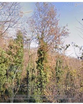 Terreno Agricolo Castagnole Monferrato [A4315662]