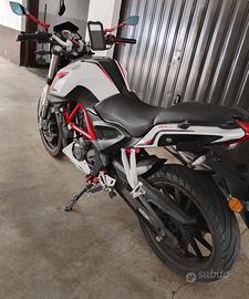 Benelli bn 251