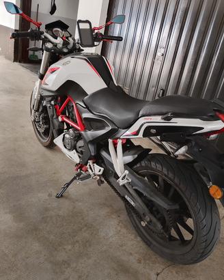 Benelli bn 251