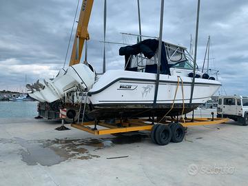 Boston whaler 295 Conquest