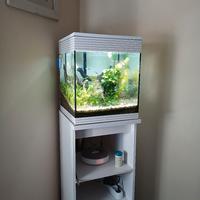 Acquario Askoll 60 L Modificato