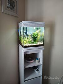 Acquario Askoll 60 L Modificato