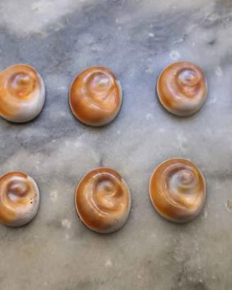 Occhio di Santa Lucia Originale