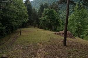 Terreno in collina