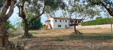 Casa colonica con 10.000 mq di terreno