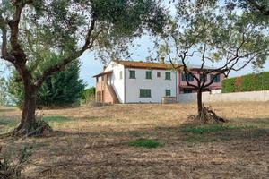 Casa colonica con 10.000 mq di terreno