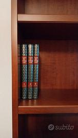 Enciclopedia degli Uccelli d'Europa - Rizzoli