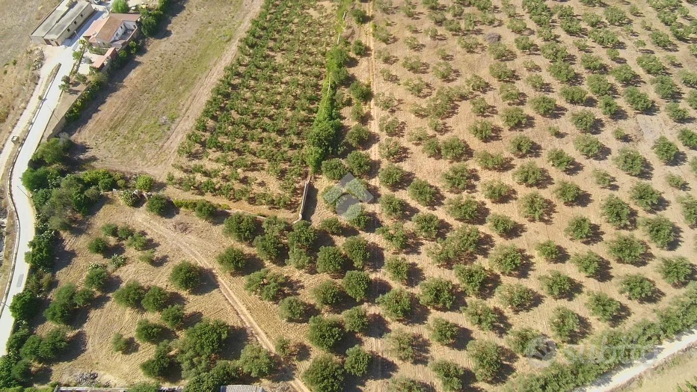 TERRENO A ALCAMO - Vista 3
