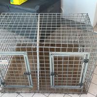 gabbia cani doppia 