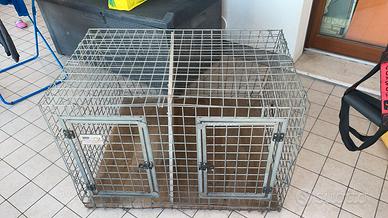 gabbia cani doppia 