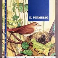 Libro: Il Permesso di Mario Lodi