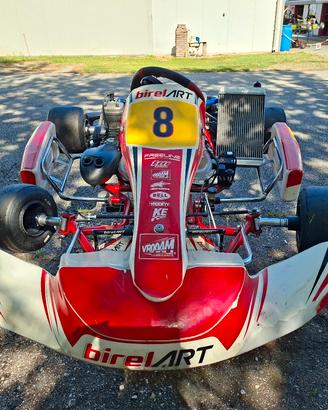 Go Kart Birel Art RY30-S12 + Iame X30 Senior