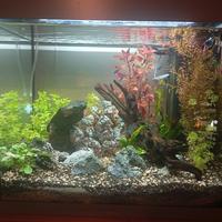 acquario juwel 120