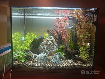 acquario juwel 120