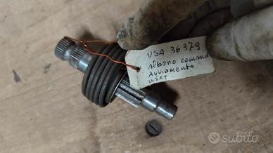 Alberino Messa in Moto - Cagiva 125 cc