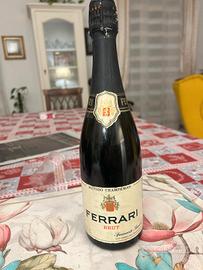 Spumante Brut Ferrari estate 1980 