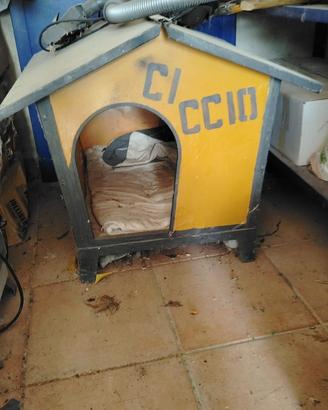Cuccia cane
