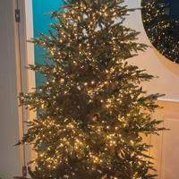 Albero di Natale EDG