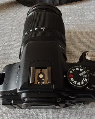 Fotocamera digitale Panasonic LUMIX DMC-L 10 