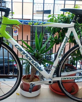 Bicicletta da corsa.