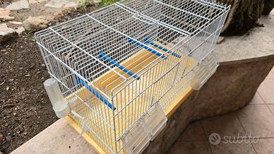 Gabbia per volatili
