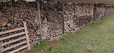 LEGNA DA ARDERE, PRONTA ALL'USO!