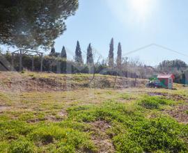 Agricolo a Livorno - PORTA A TERRA, PADULA, CISTER