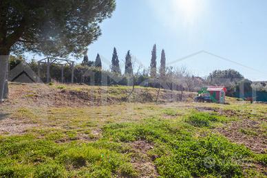 Agricolo a Livorno - PORTA A TERRA, PADULA, CISTER