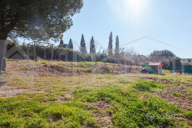 Agricolo a Livorno - PORTA A TERRA, PADULA, CISTER