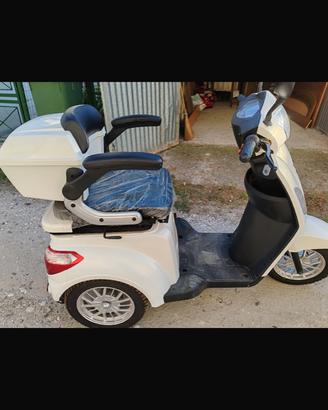 Scooter elettrico per disabili