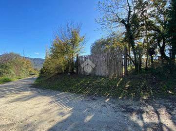 TER. AGRICOLO A MONTEFIASCONE