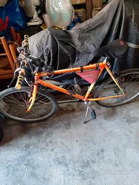 BICICLETTA MOUNTAIN-CITY BIKE