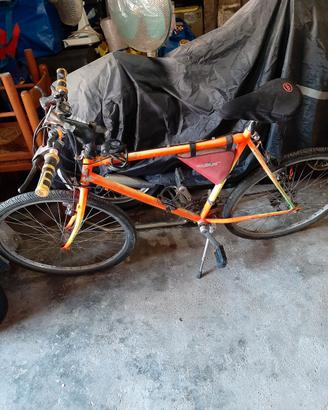 BICICLETTA MOUNTAIN-CITY BIKE