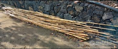 canne per ortaggi o per cannizzi