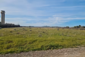 terreno agricolo