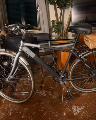 Bici Legnano