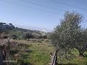 ter-agricolo-a-mentana