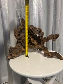 Legno di Mangrovia per acquario