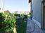 Immagine 21