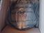 Immagine 3