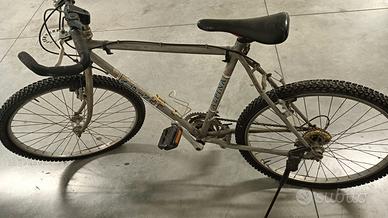 Bici da uomo mountain bike