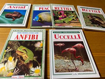 Enciclopedie e libri per ragazzi e adulti