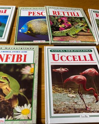 Enciclopedie e libri per ragazzi e adulti