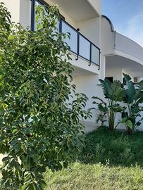 Villino indipendente