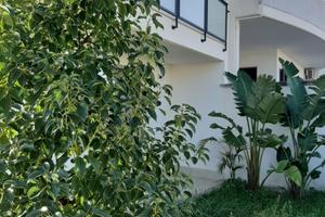 Villino indipendente