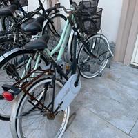 Bici donna topbike