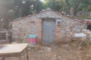 Il rifugio del cacciatore con uliveto compreso