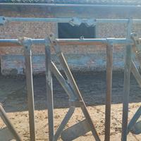 autocatture per bovini 